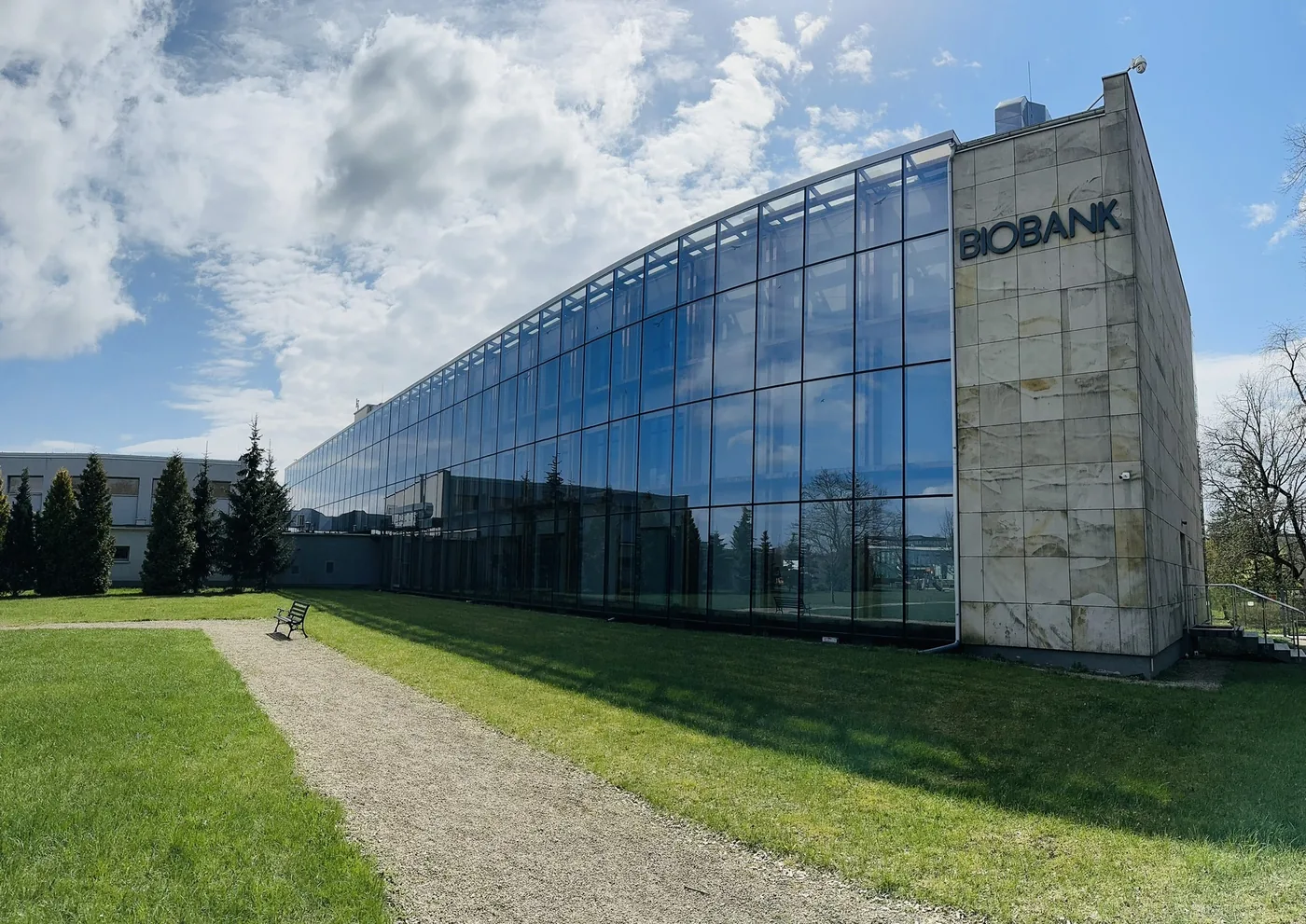 Publiczny Bank Komórek Macierzystych – jak oddać krew pępowinową i pomóc ratować życie